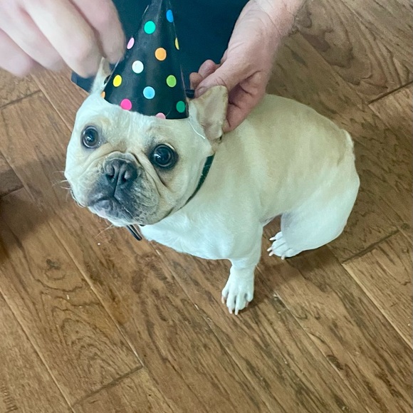 POL• FREE PEOPLE• CHASER•ZENANA• BOUTIQUE BRANDS! XS-XL - Picture 6 of 15